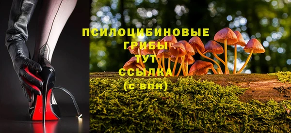 сатива Балабаново