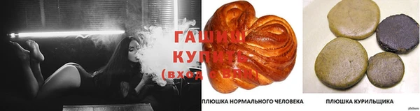 сатива Балабаново