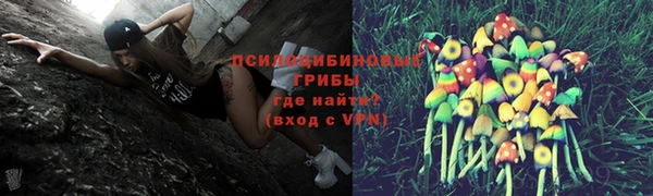 сатива Балабаново