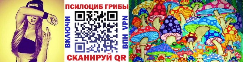 купить наркоту  Ясногорск  Псилоцибиновые грибы мицелий 